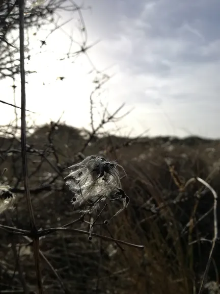 De Panne (België)